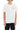 Golden goose big star regular t-shirt